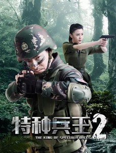 特种兵王2：使命抉择