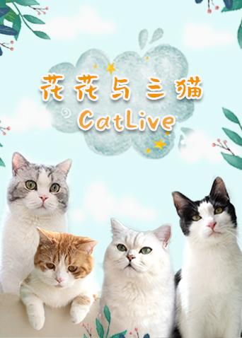 花花与三猫catlive 20190511期