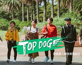 TOPDOG 20230422